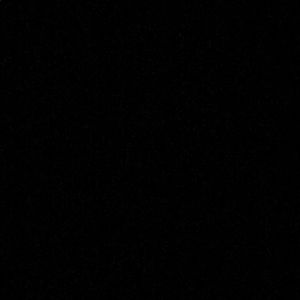 Meet your Posher, Landon